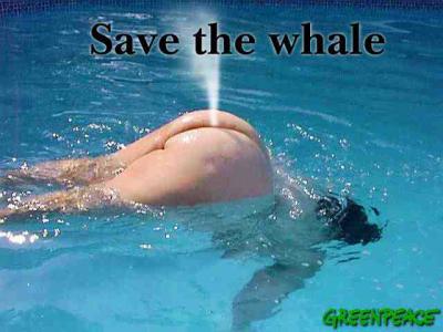 * save the whale*